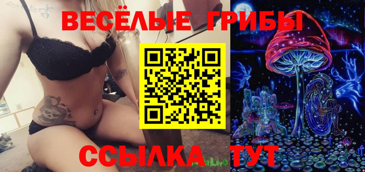 Гусиноозёрск  сколько стоит  Вход с VPN  Псилоцибиновые грибы MAGIC MUSHROOMS  Псилоцибиновые грибы прущие грибы 